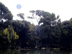 IMG_0038.JPG