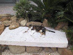 IMG_0040.JPG