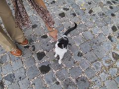 IMG_0054.JPG