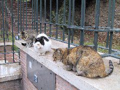IMG_0058.JPG