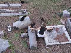 IMG_0082.JPG