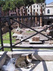 IMG_0084.JPG