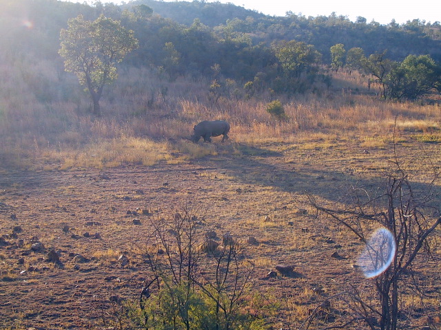 IMG_0036.JPG