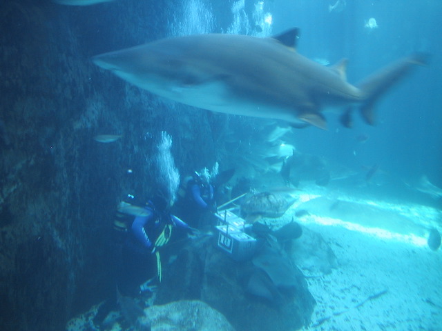 IMG_0023.JPG