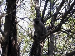 IMG_0005.JPG