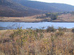 IMG_0028.JPG