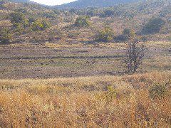 IMG_0030.JPG