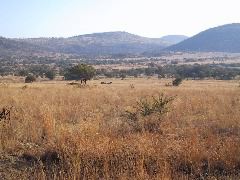 IMG_0031.JPG