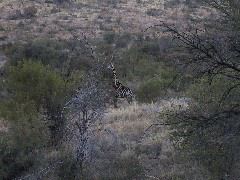 IMG_0043.JPG