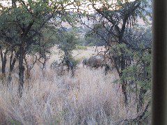 IMG_0046.JPG