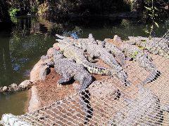 IMG_0009.JPG