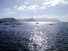 IMG_0040.JPG