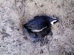 IMG_0041.JPG