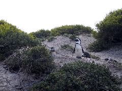 IMG_0043.JPG