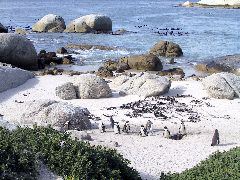 IMG_0044.JPG