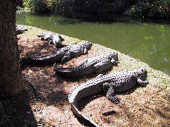 IMG_0015.JPG