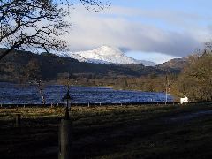 IMG_0007.JPG