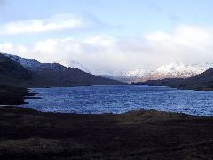 IMG_0009.JPG