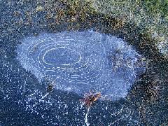 IMG_0012.JPG