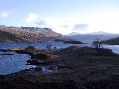 IMG_0014.JPG