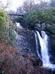 IMG_0018.JPG
