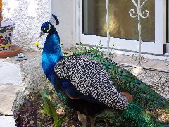 100_0193.JPG
