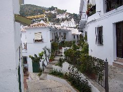 100_0235.JPG