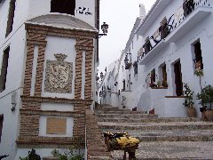 100_0236.JPG