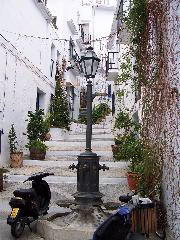 100_0238.JPG