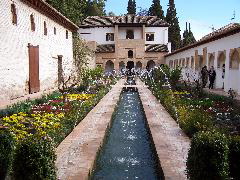 100_0313.JPG