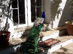 100_0205.JPG