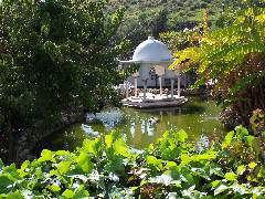 100_0207.JPG