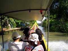 IMG_0895.JPG