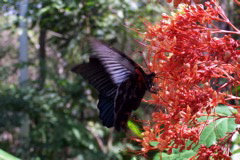 106_1542.JPG