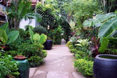 106_1557.JPG