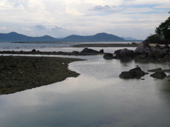 IMG_1078.JPG