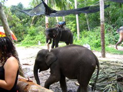 IMG_1111.JPG