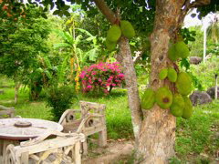 IMG_1058.JPG