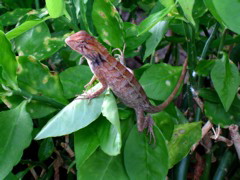 IMG_1002.JPG