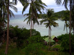 IMG_1008.JPG