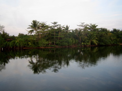 IMG_0925.JPG