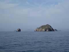 IMG_0932.JPG