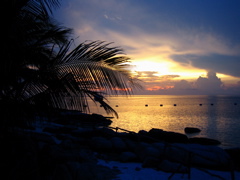 IMG_0974.JPG