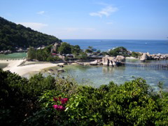 IMG_0937.JPG