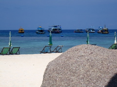 IMG_0960.JPG