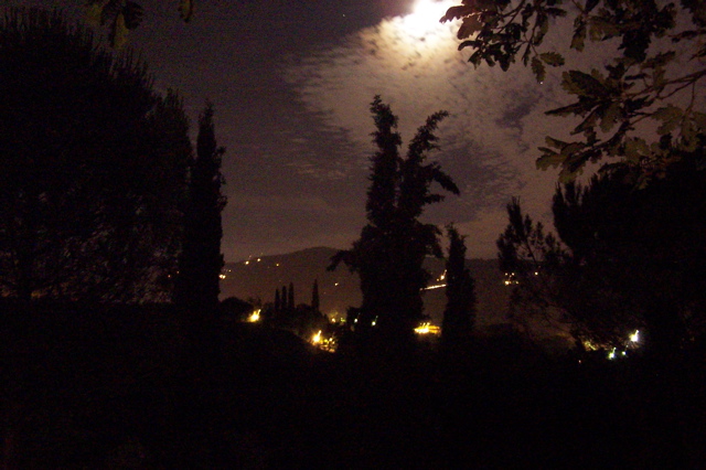 100_1122.JPG