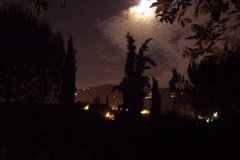 100_1122.JPG