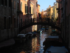 IMG_1782.JPG
