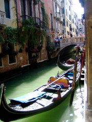 IMG_1772.JPG
