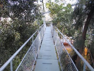 Hortus Botanicus, Amsterdam